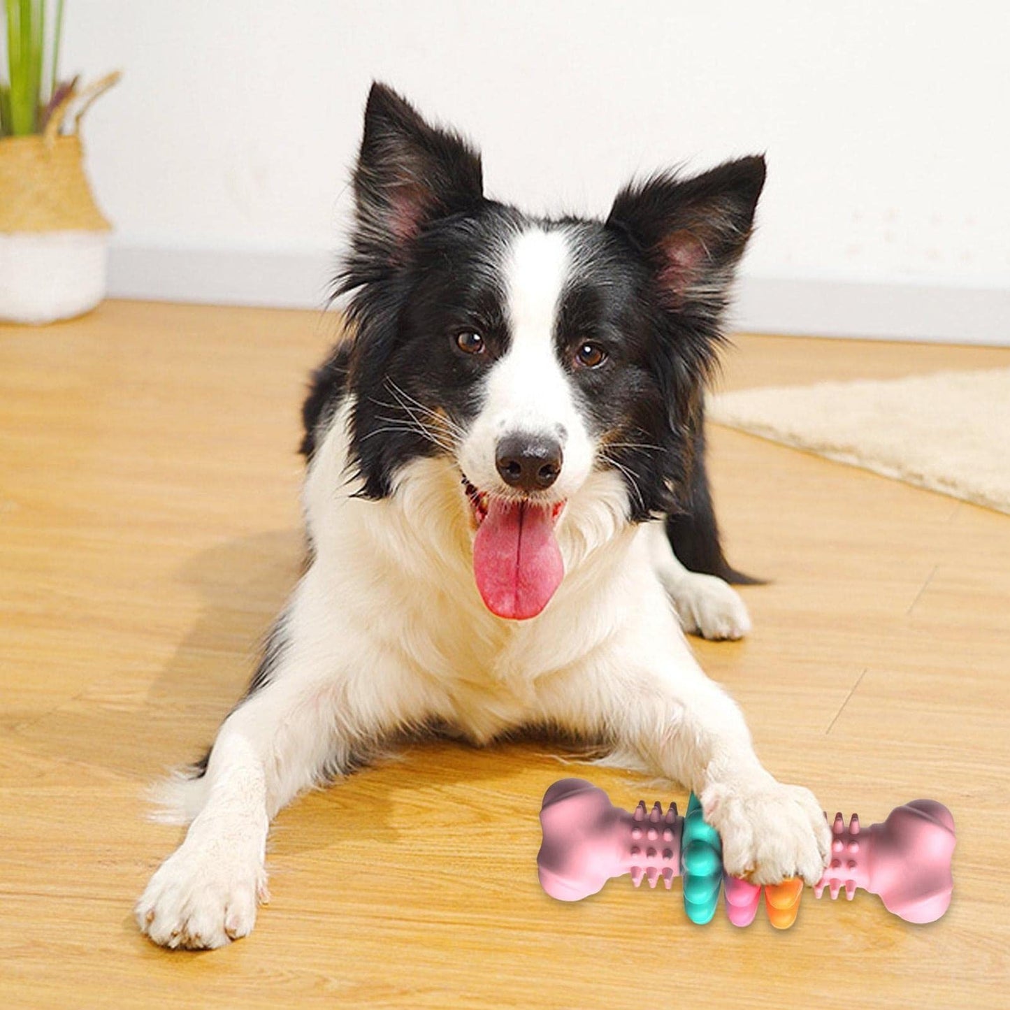 Indestructible TPR Bone Dog Chew Toy for Teeth Cleaning, Bite-Resistant, and Teething Relief - Dailyy shoplio