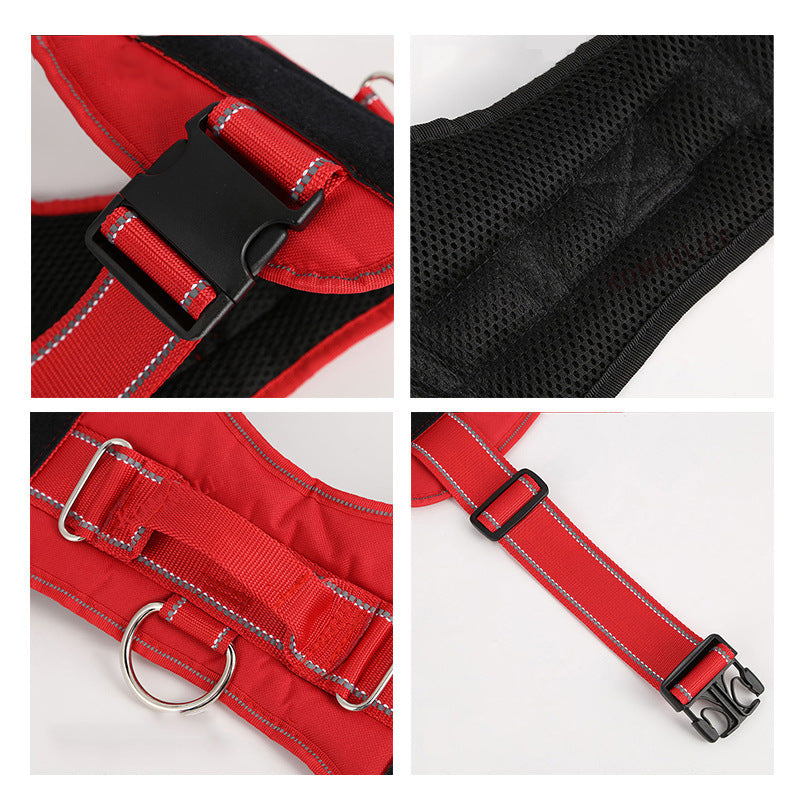 Pet Harness – Personalized for Style & Comfort! - Dailyy shoplio