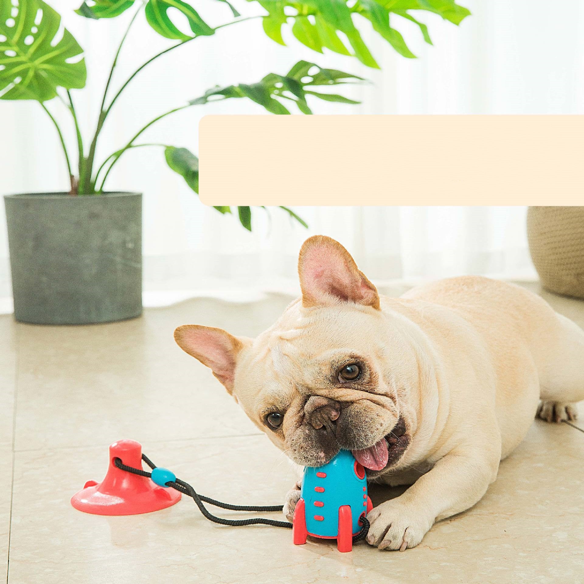 Rocket-Shaped Dog Toy – Bite-Resistant & Treat Dispensing - Dailyy shoplio