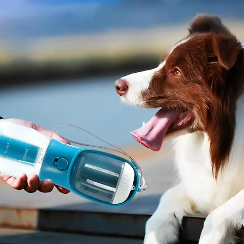 3-in-1 Portable Pet Water & Food Cup with Waste Bag Holder - Dailyy shoplio