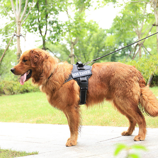 Pet Harness – Personalized for Style & Comfort! - Dailyy shoplio