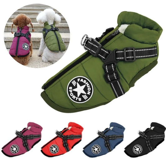 Winter Dog Jacket with Harness Ring – Warm & Waterproof! - Dailyy shoplio