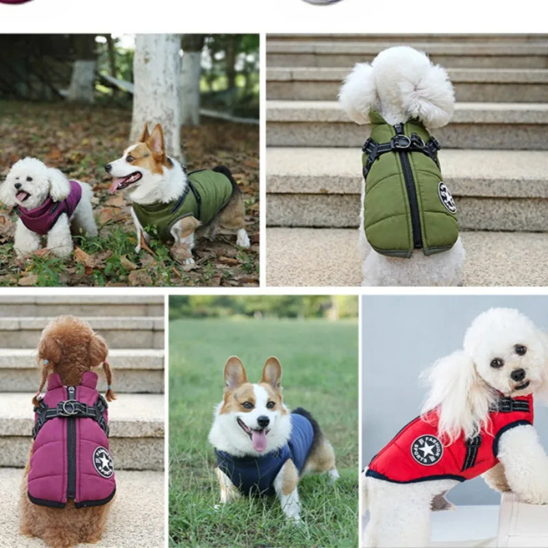Winter Dog Jacket with Harness Ring – Warm & Waterproof! - Dailyy shoplio