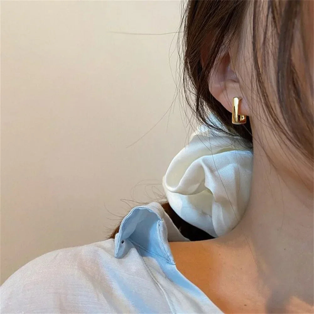 Simple Geometric U-Shaped Earrings
