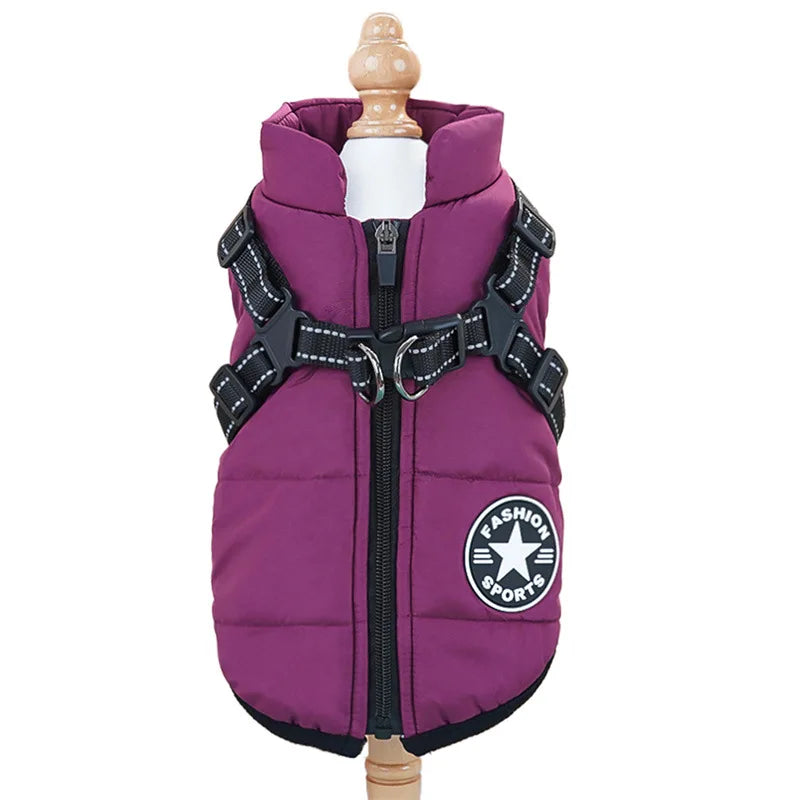 Winter Dog Jacket with Harness Ring – Warm & Waterproof! - Dailyy shoplio