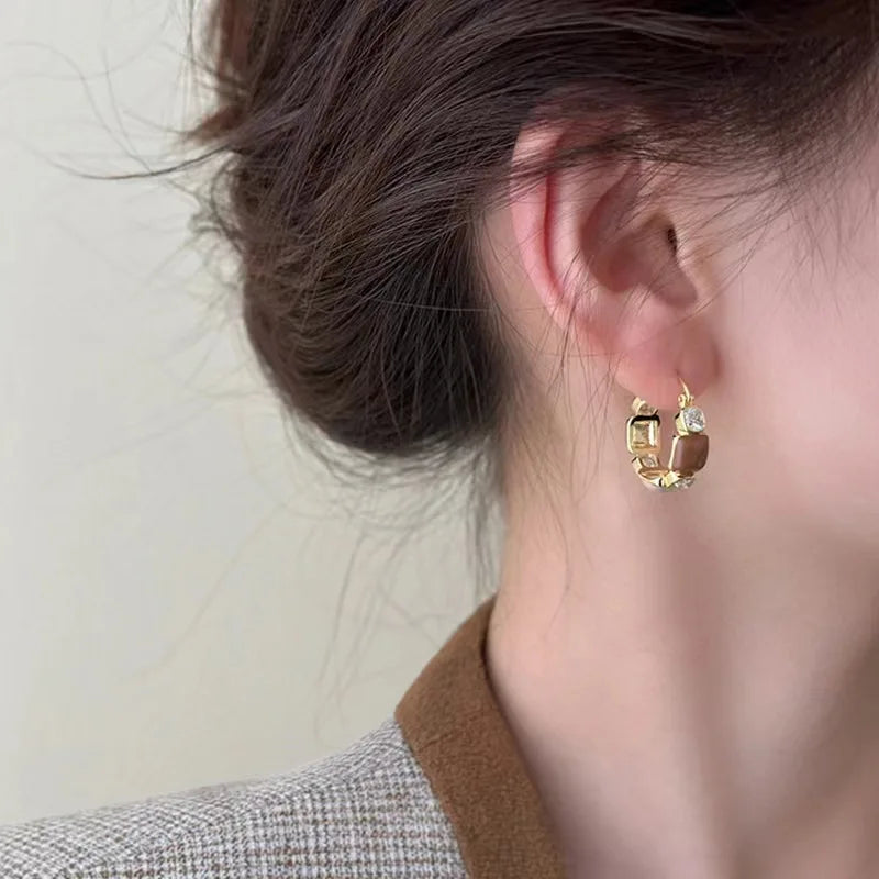 Shiny Zircon Circle Earrings