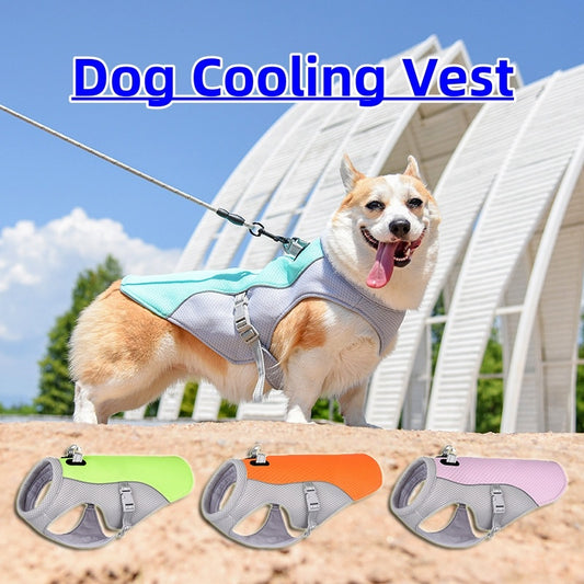 Summer Dog Cooling Vest – Heat-Resistant, Breathable, Sun-Proof Clothing for Small & Large Dogs - Dailyy shoplio
