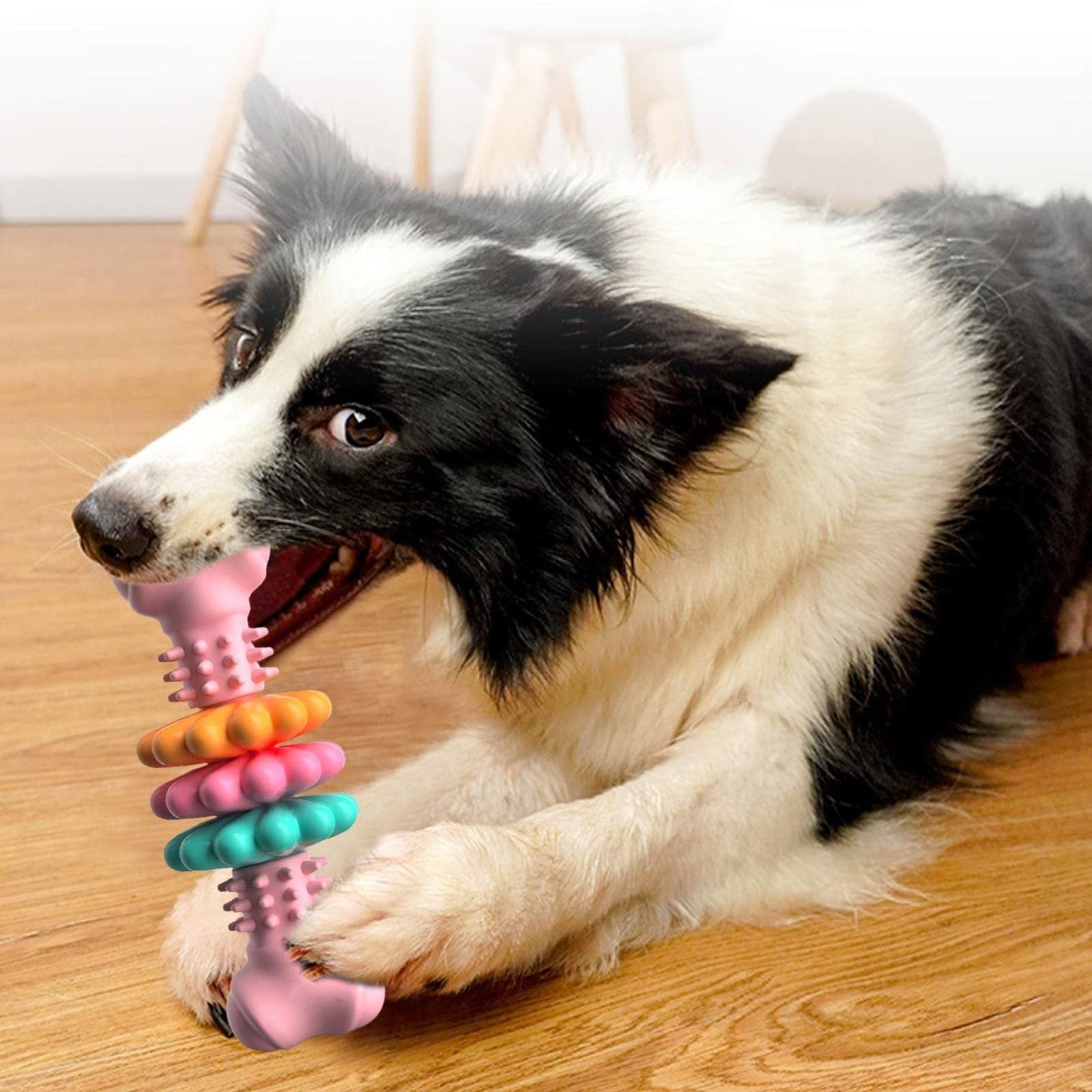 Indestructible TPR Bone Dog Chew Toy for Teeth Cleaning, Bite-Resistant, and Teething Relief - Dailyy shoplio