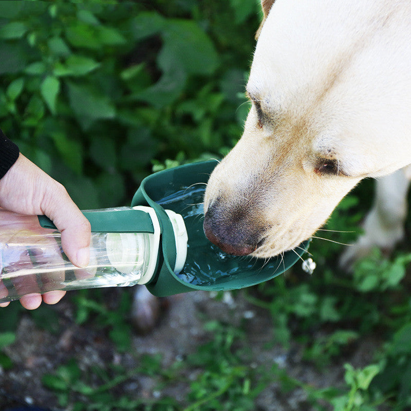 2-in-1 Pet Water Bottle & Food Bowl – Foldable, Portable, Travel-Friendly for Dogs - Dailyy shoplio